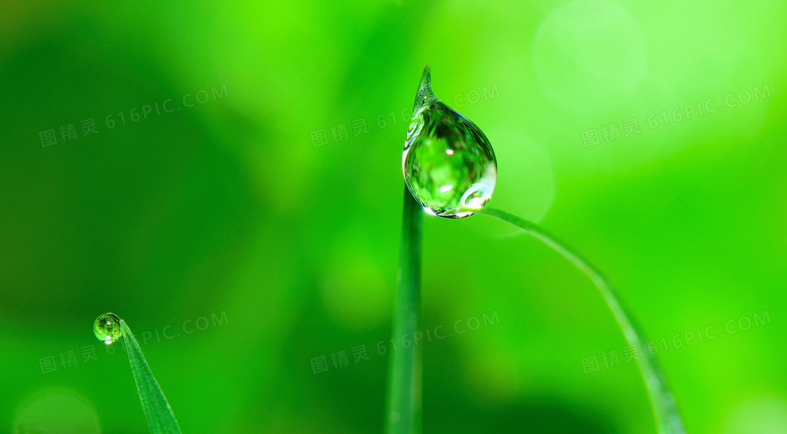 绿色背景图片素材