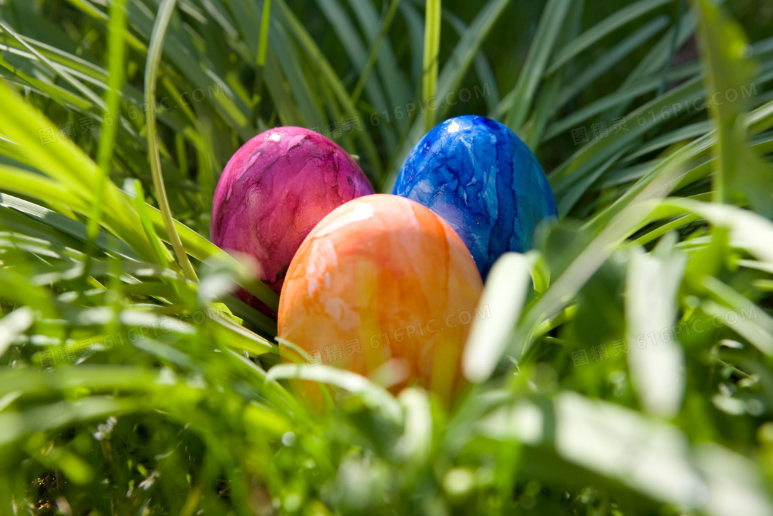 复活节彩色鸡蛋图片
