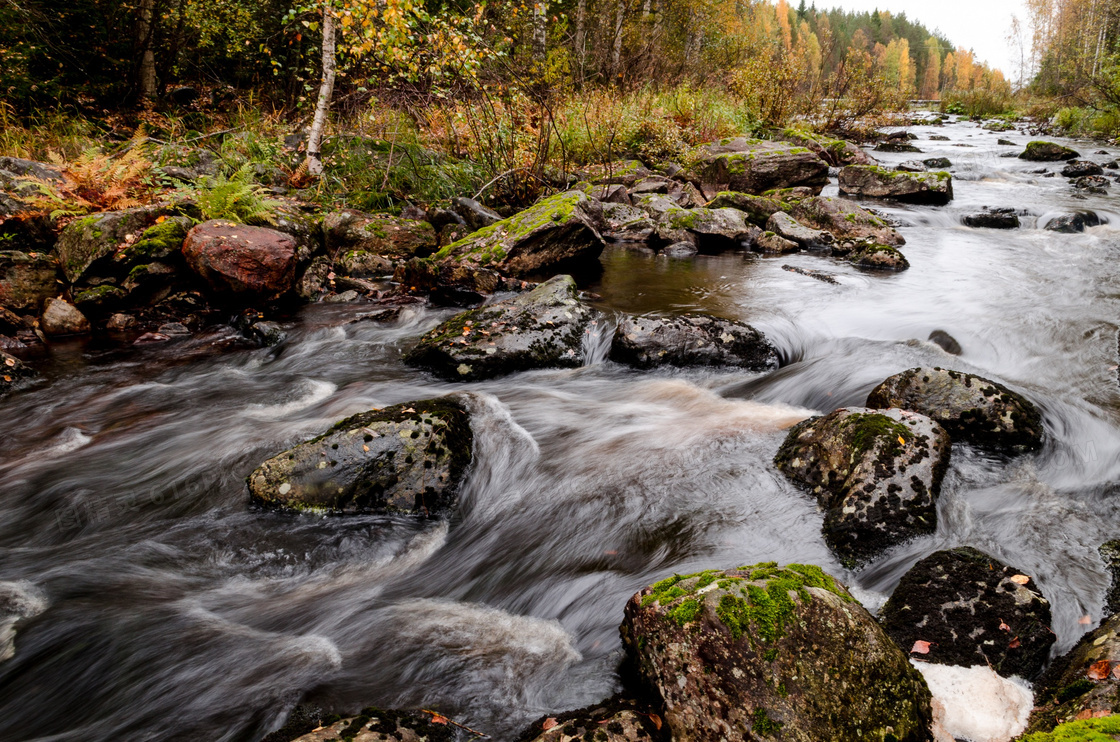 秋季树林河流风景图片