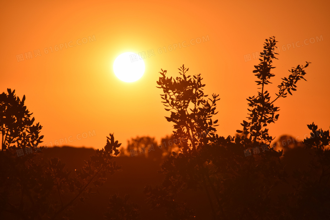 黄昏夕阳风光摄影图片