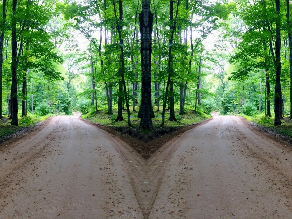 丛林山岔路图片