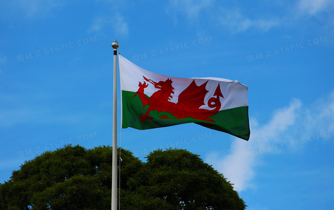 威尔士国旗图片
