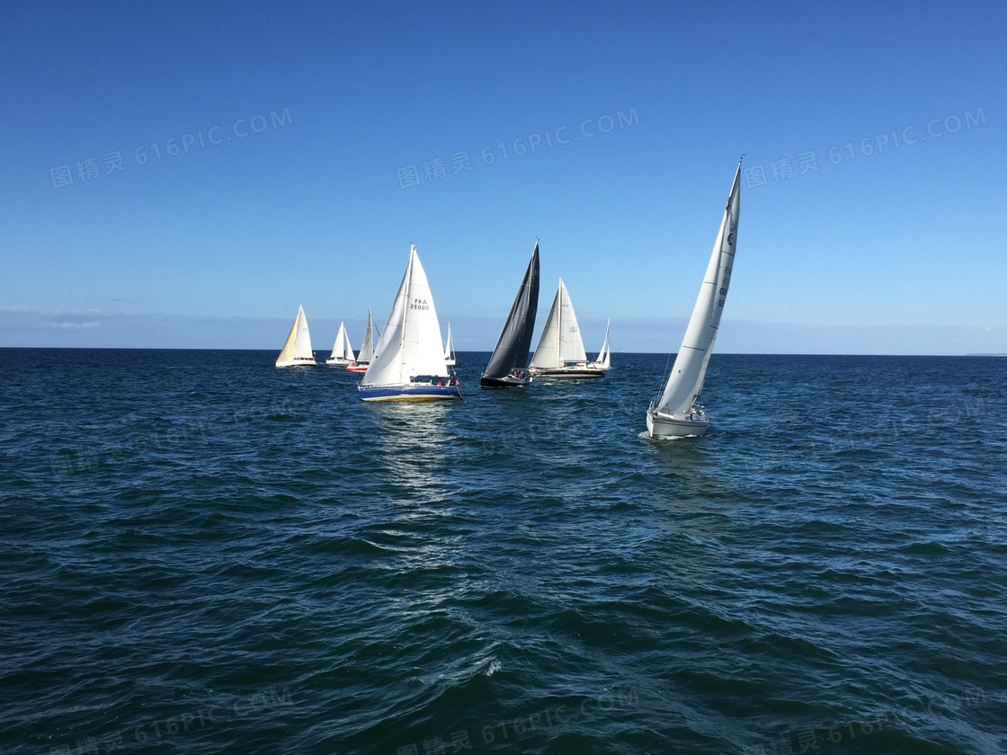 帆船比赛高清图片