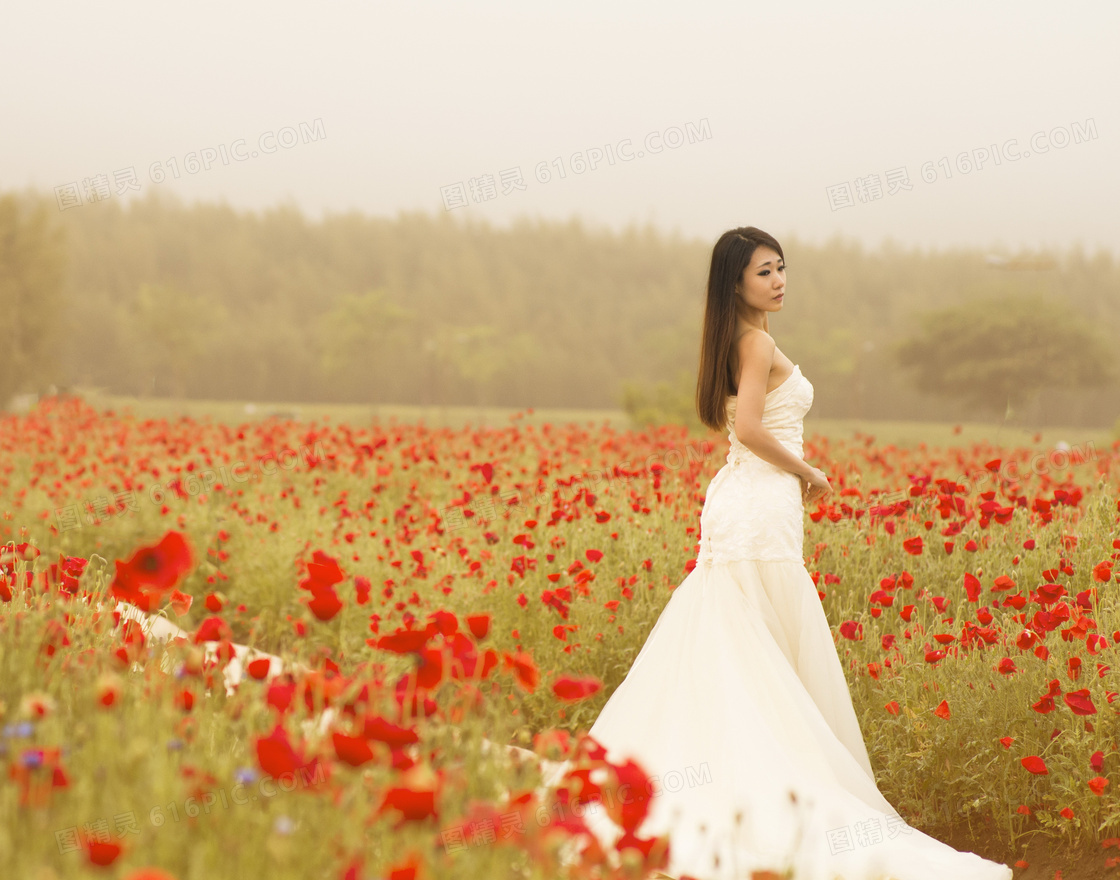 花海婚纱写真摄影