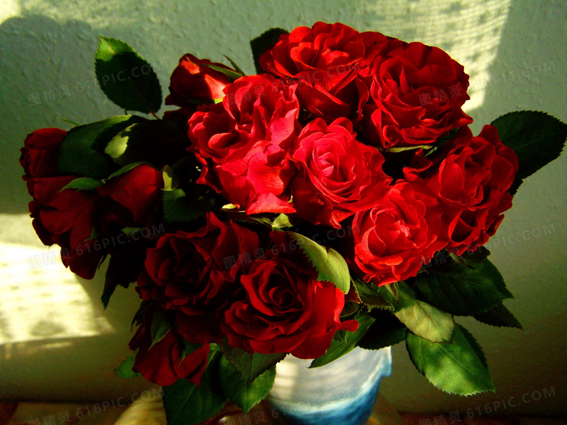 娇艳的红玫瑰花束图片素材-编号26611676-图行天下