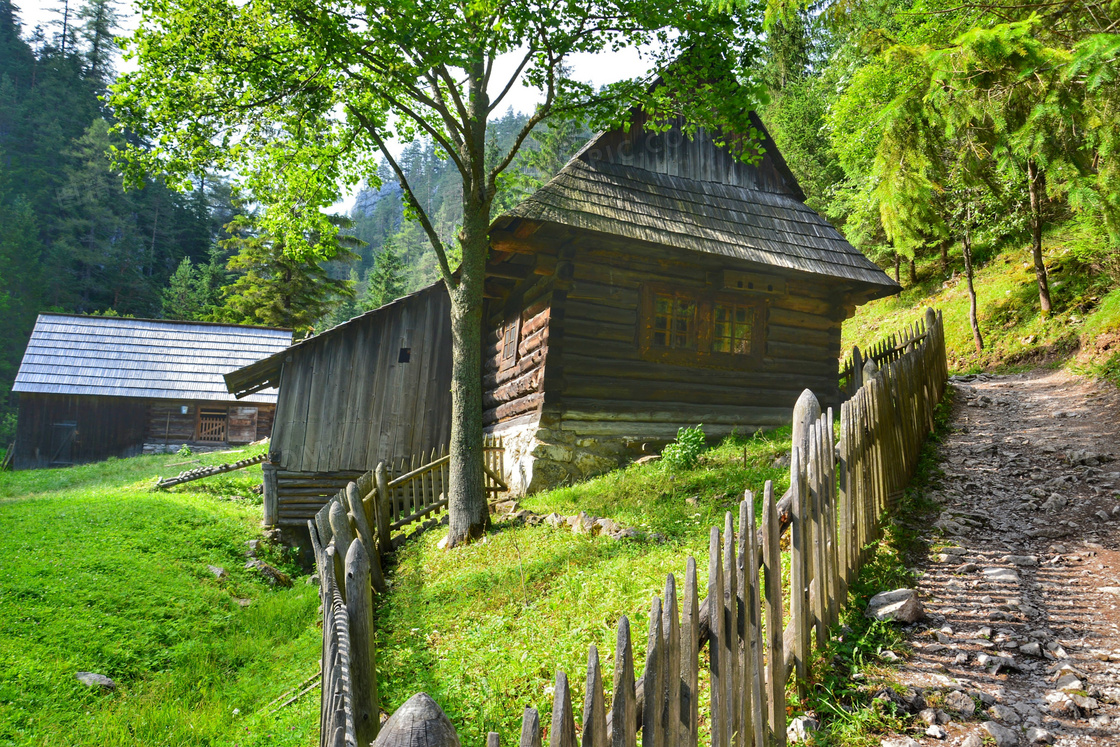 树林木房子风景图片