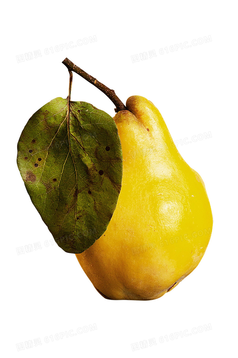 黄色香梨图片