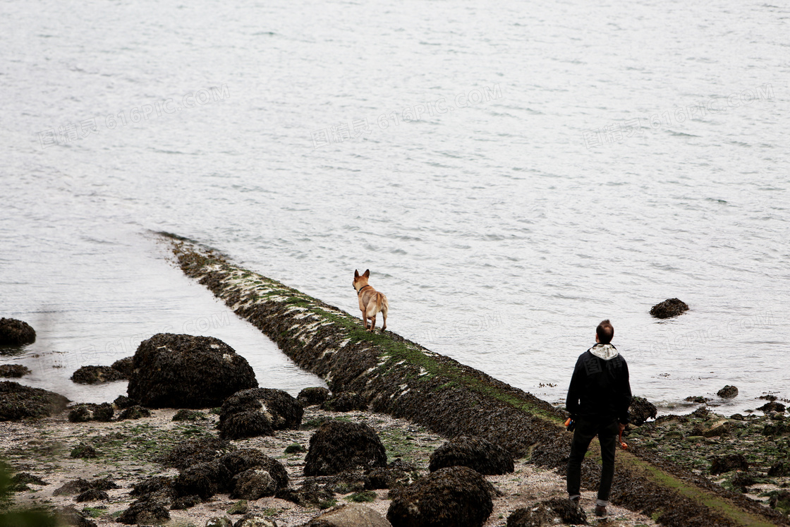 海边男人和狗图片