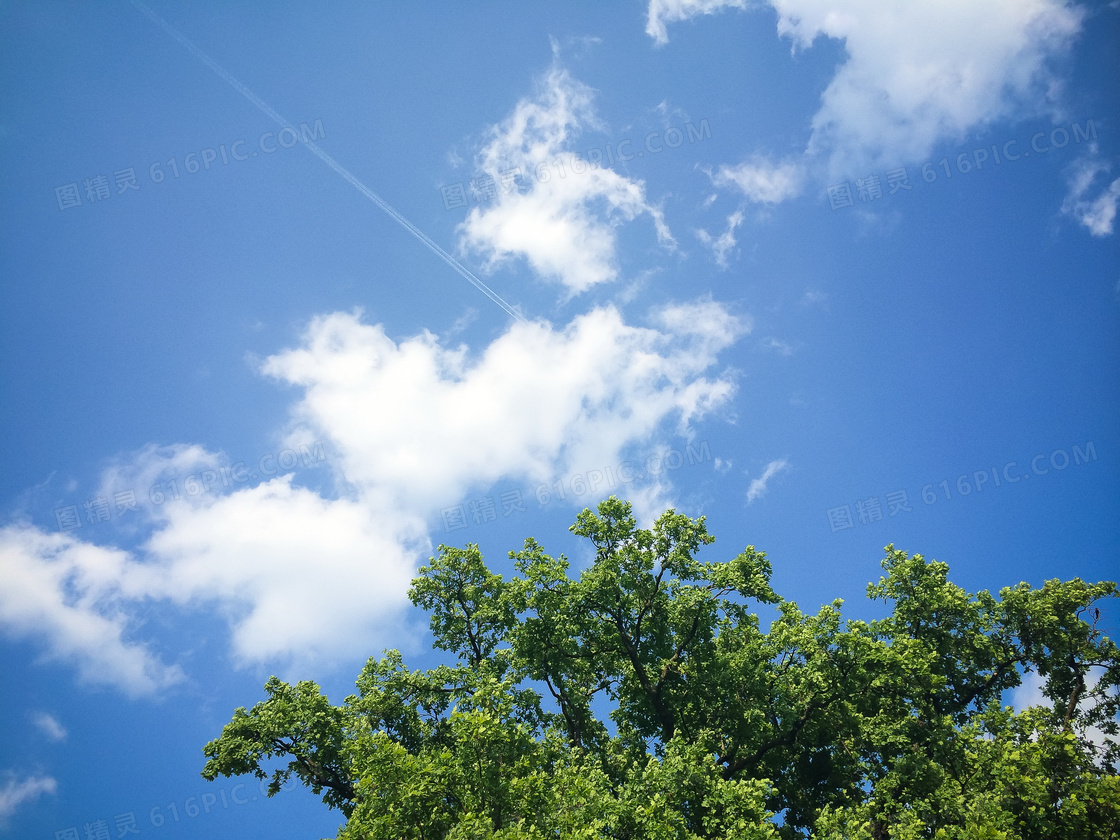 蓝天白云草地绿草一棵树大树树木户外野外风景景色美景312植树节 - PSD素材网