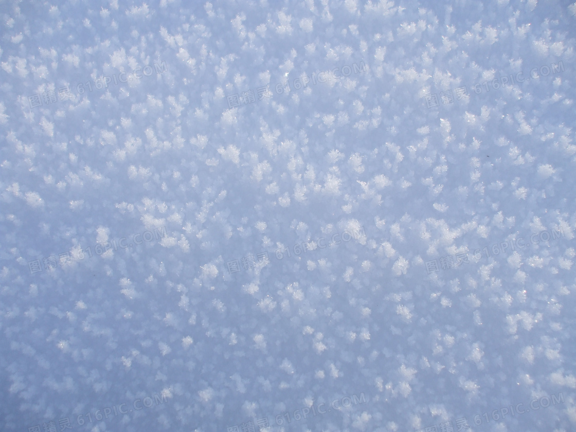 白雪雪晶图片