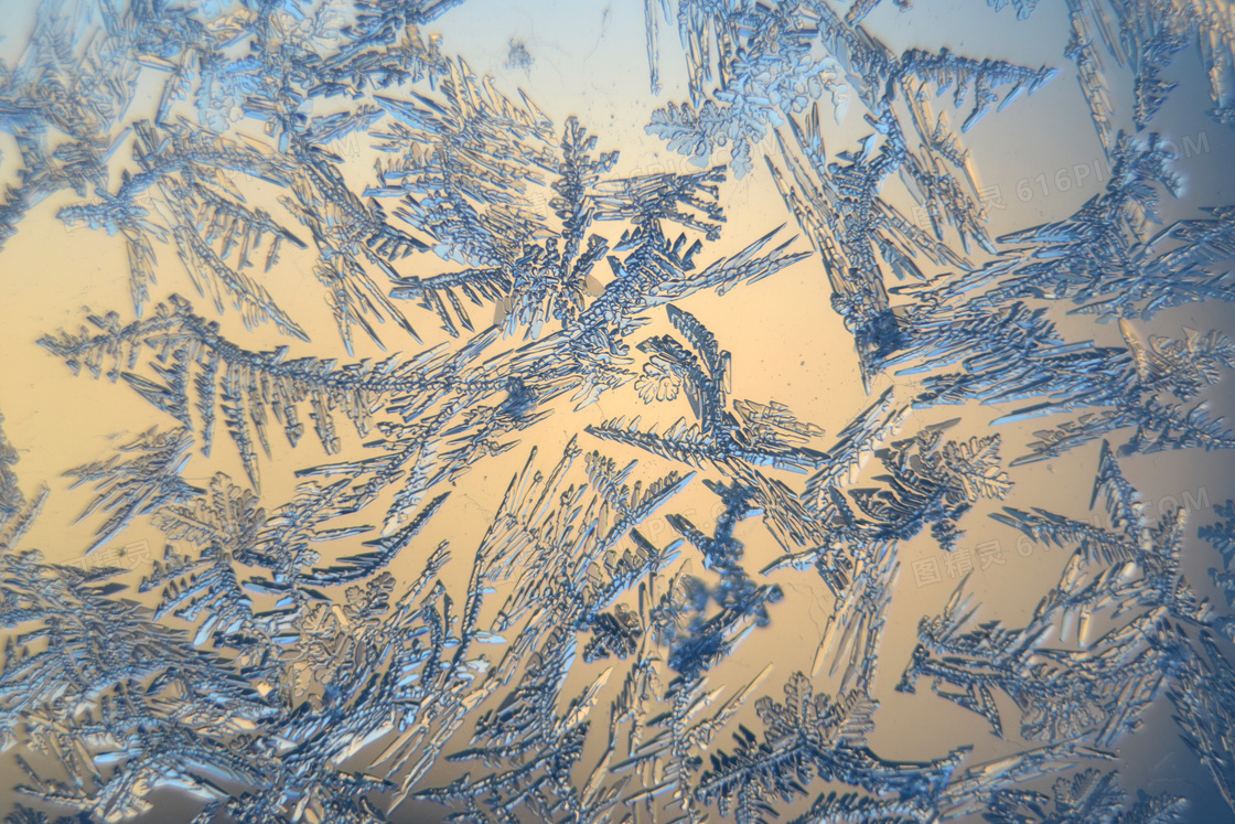 雪冰晶图片