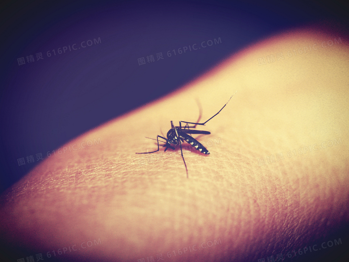 家里的蚊子超级多怎么办？ - 知乎