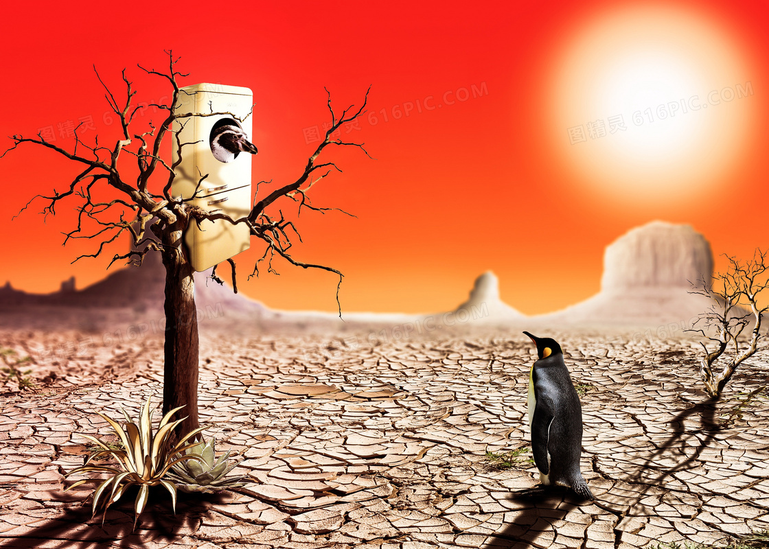 沙漠环保广告创意图片