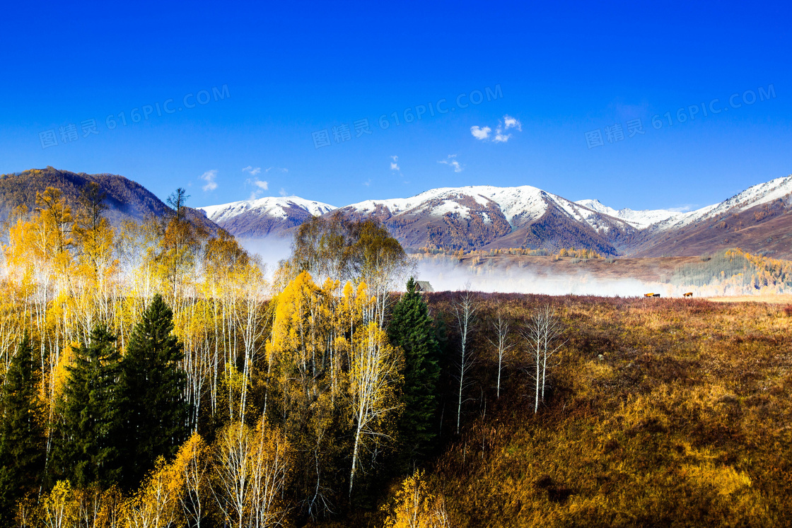 中国北疆雪山图片