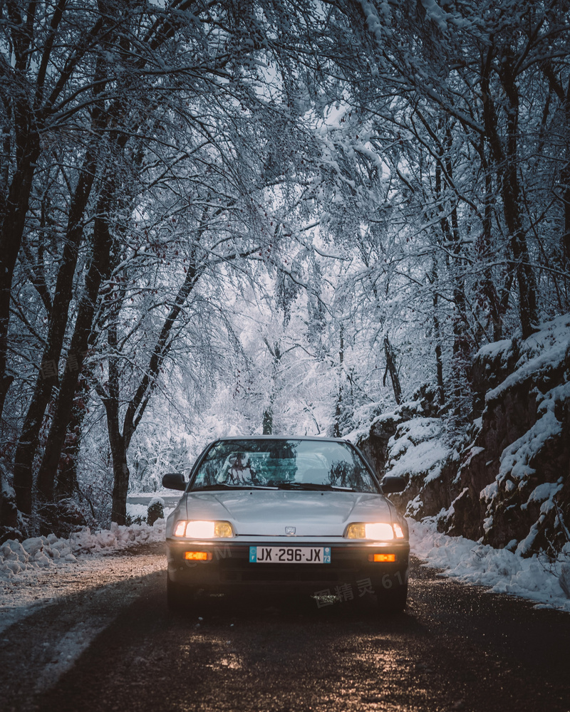 冬季树林雪景汽车图片