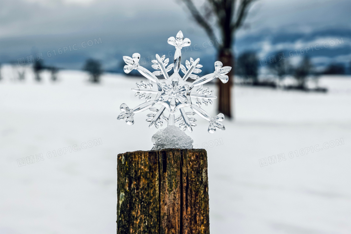 唯美冬季雪花晶片图片