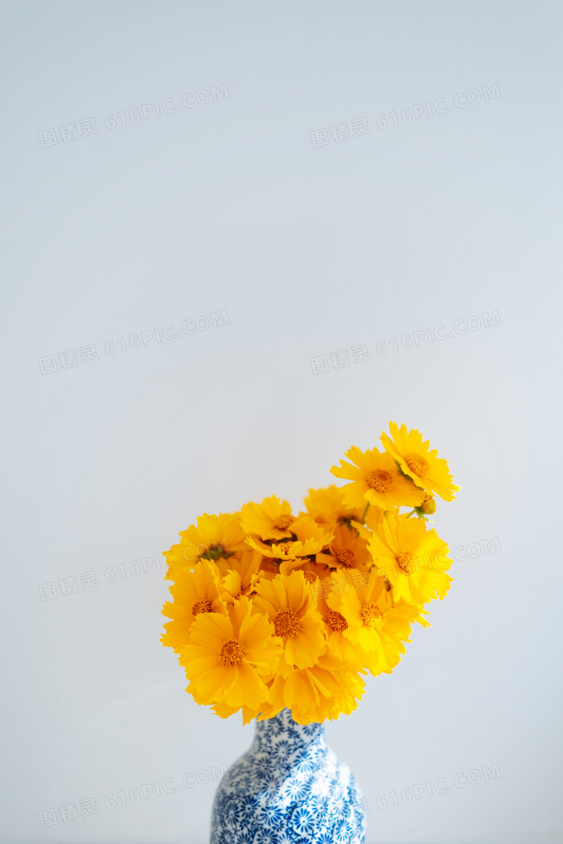 黄色菊花插花图片