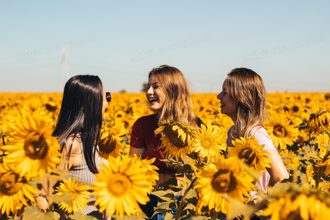 向日葵花海闺蜜照图片