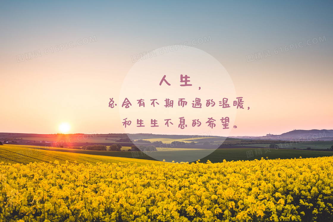 生活语录文字图片