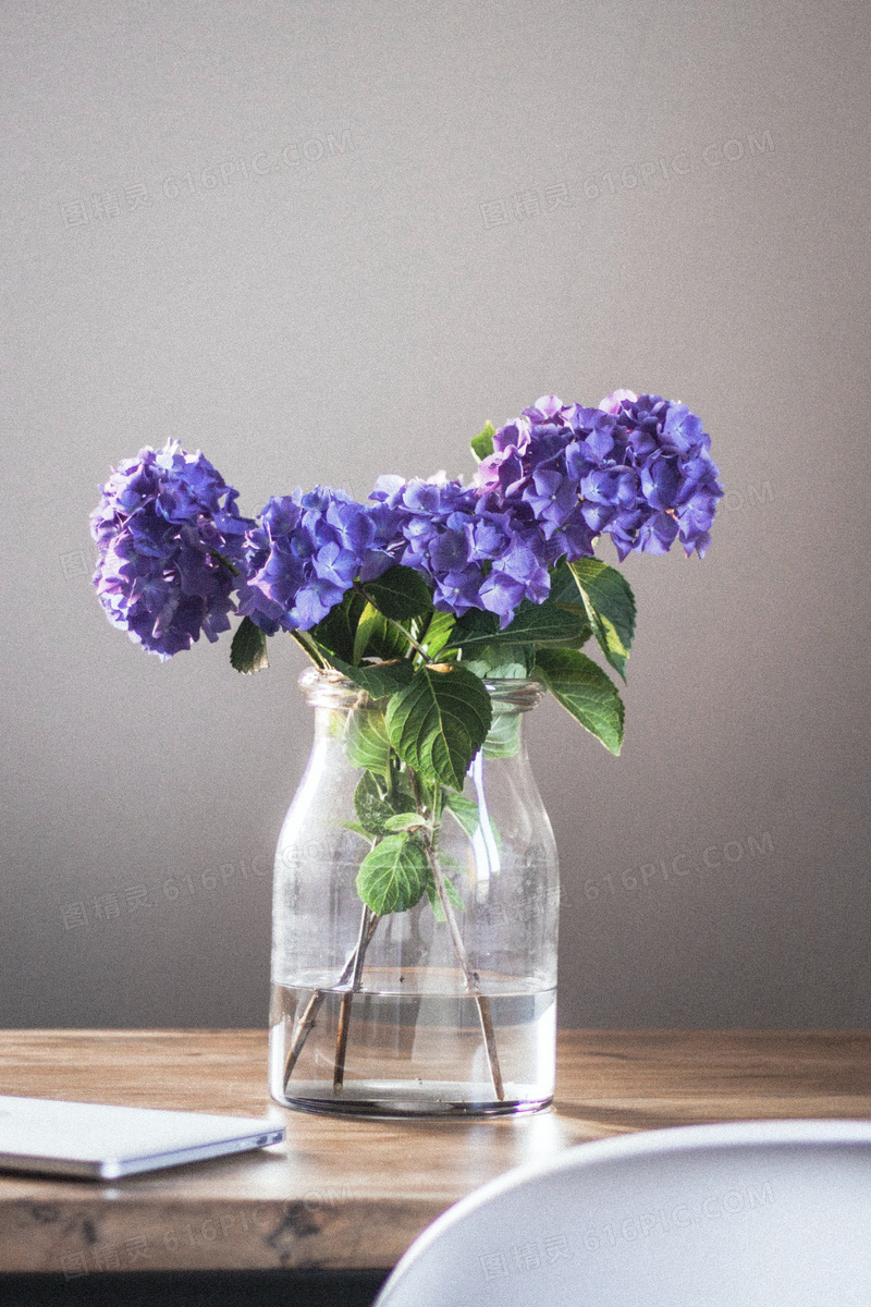 紫色花朵水培插花图片 紫色花朵水培插花图片大全
