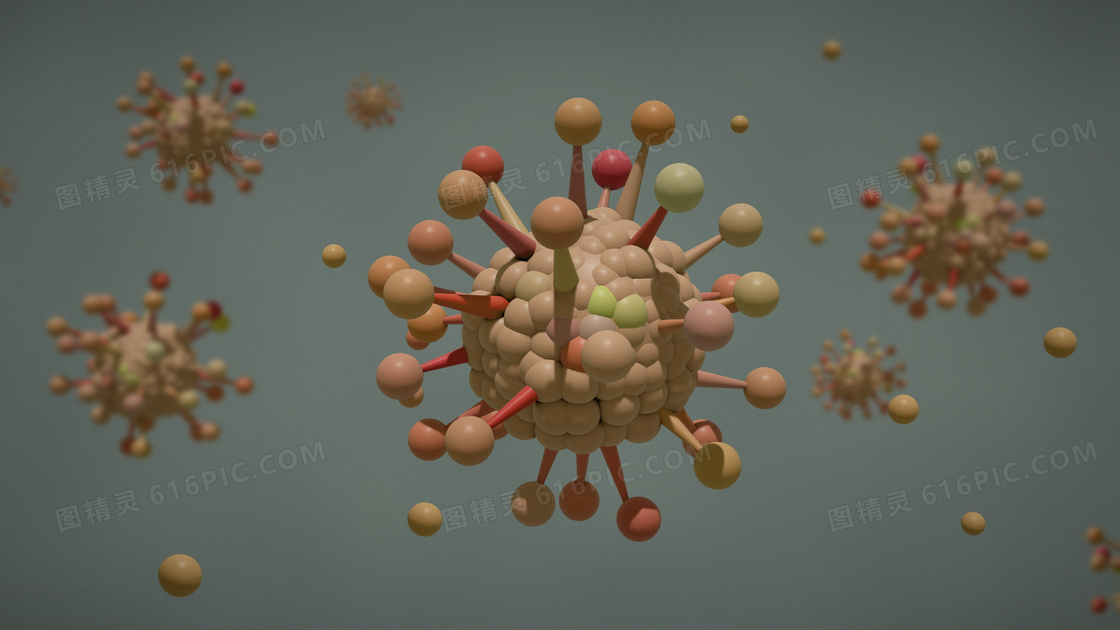 冠状病毒立体结构图片