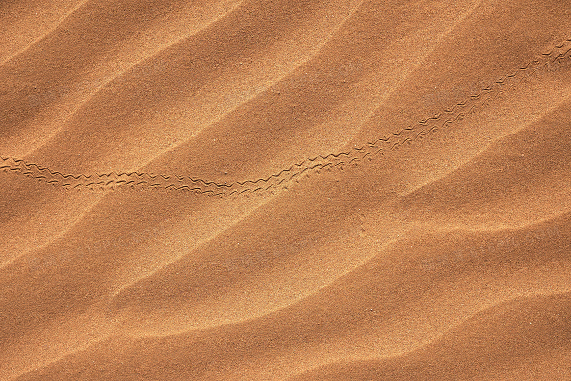 沙漠波纹纹理背景图片