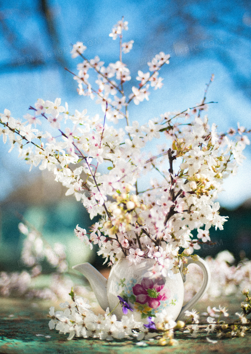 春天白色桃花插花图片 春天桃花插花图片大全