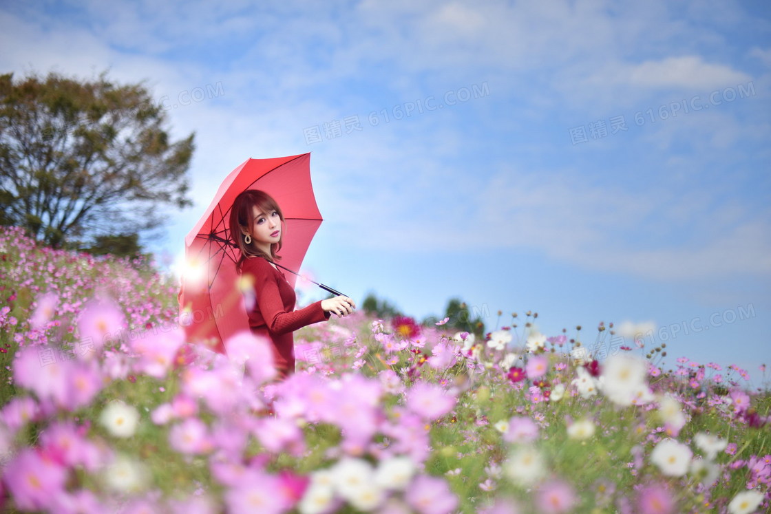 唯美花海美女写真唯美花海美女写真大全jpg图片免费下载 编号1pehewy9z 图精灵