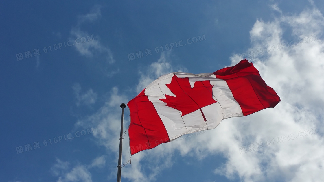 加拿大旗帜飘扬图片