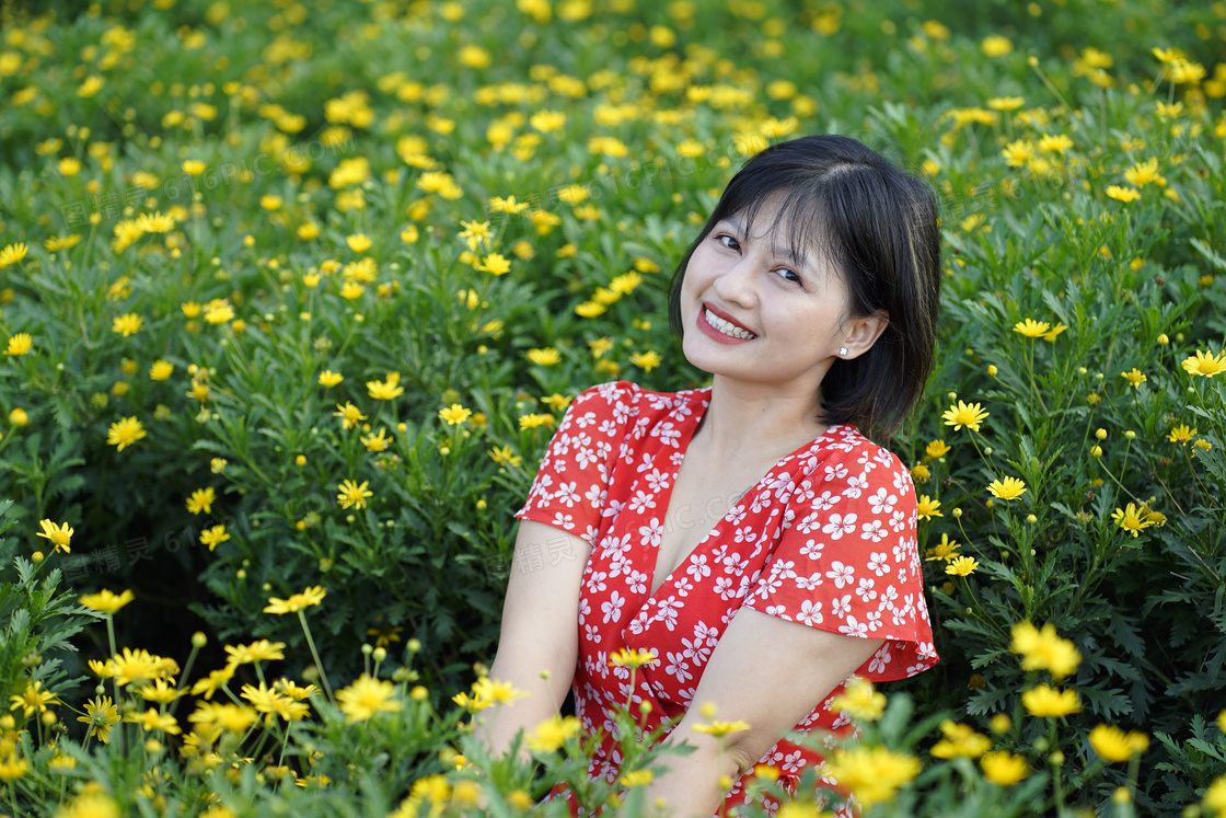 黄色菊花海美女写真图片