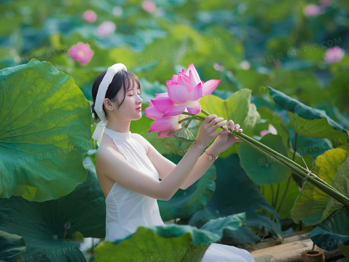 采摘莲花莲蓬的美女图片