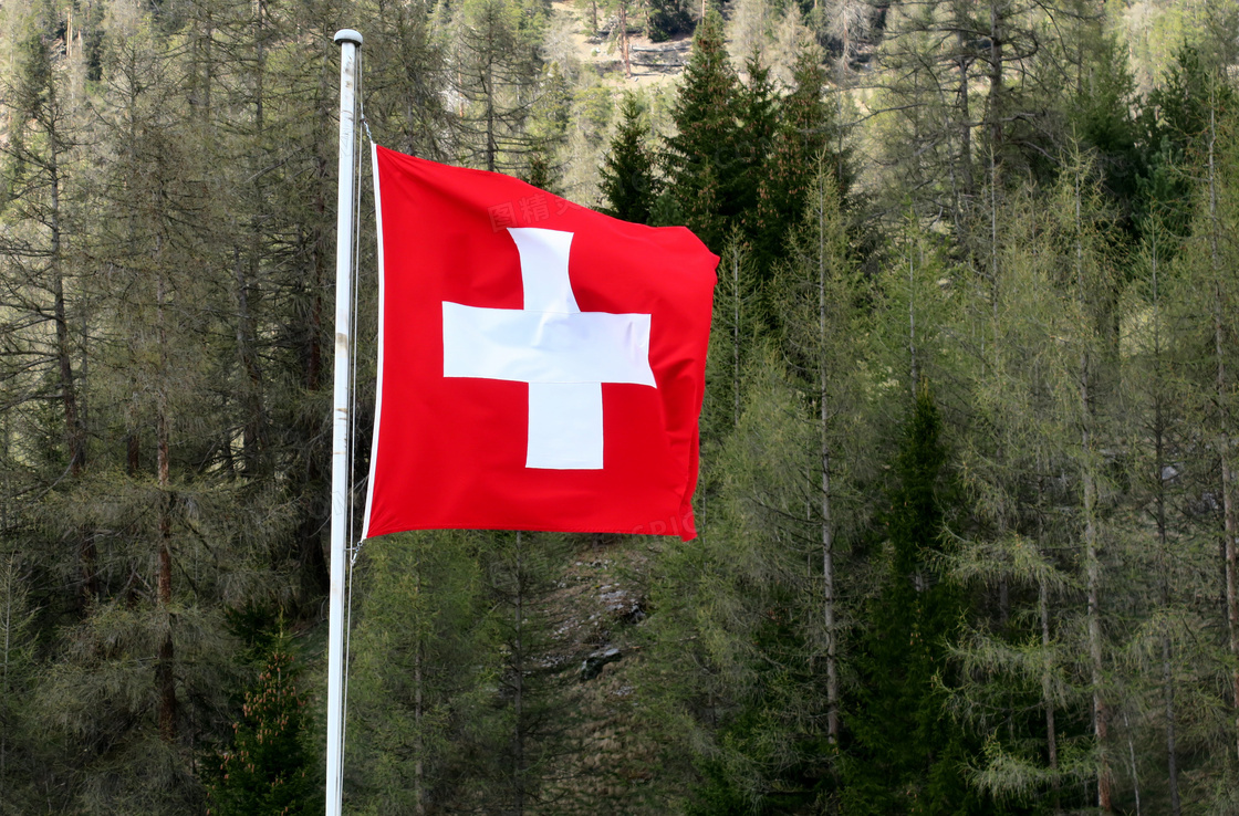 瑞士国家国旗飘扬图片