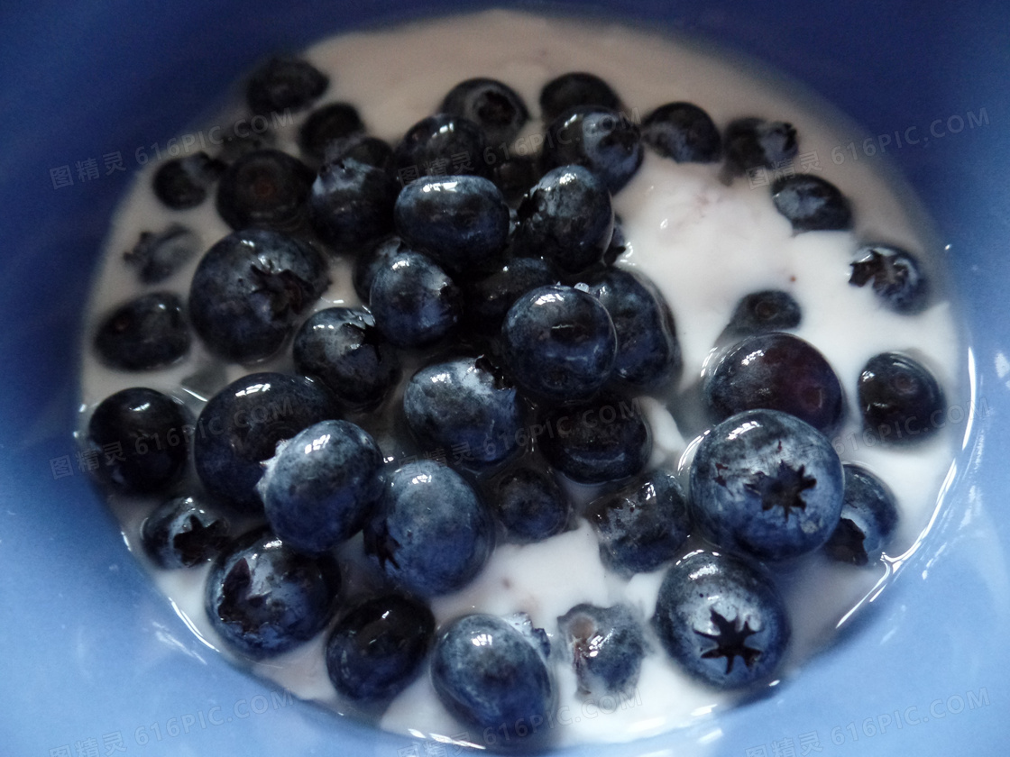自创蓝莓酸奶用蓝莓和薄菏 库存照片. 图片 包括有 自创, 胆汁, 背包, 蜂蜜, 制动手, 生活方式, 特写镜头 - 86047182