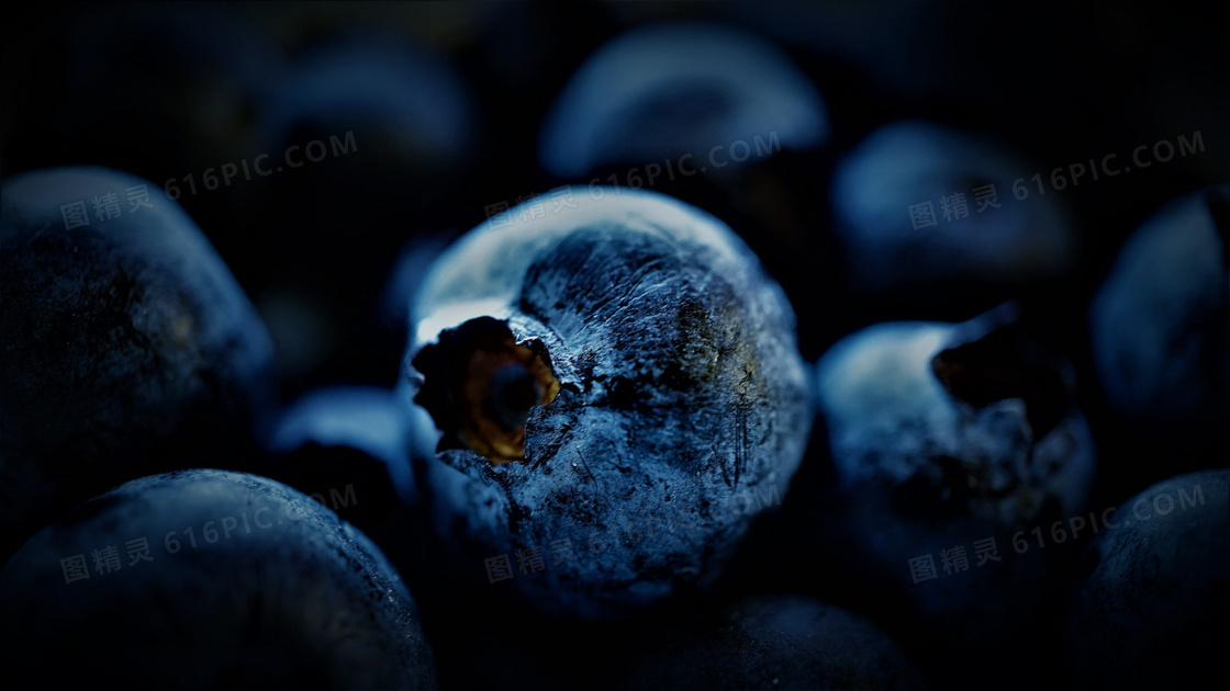 掉落在地上风干的蓝莓摄影高清图片