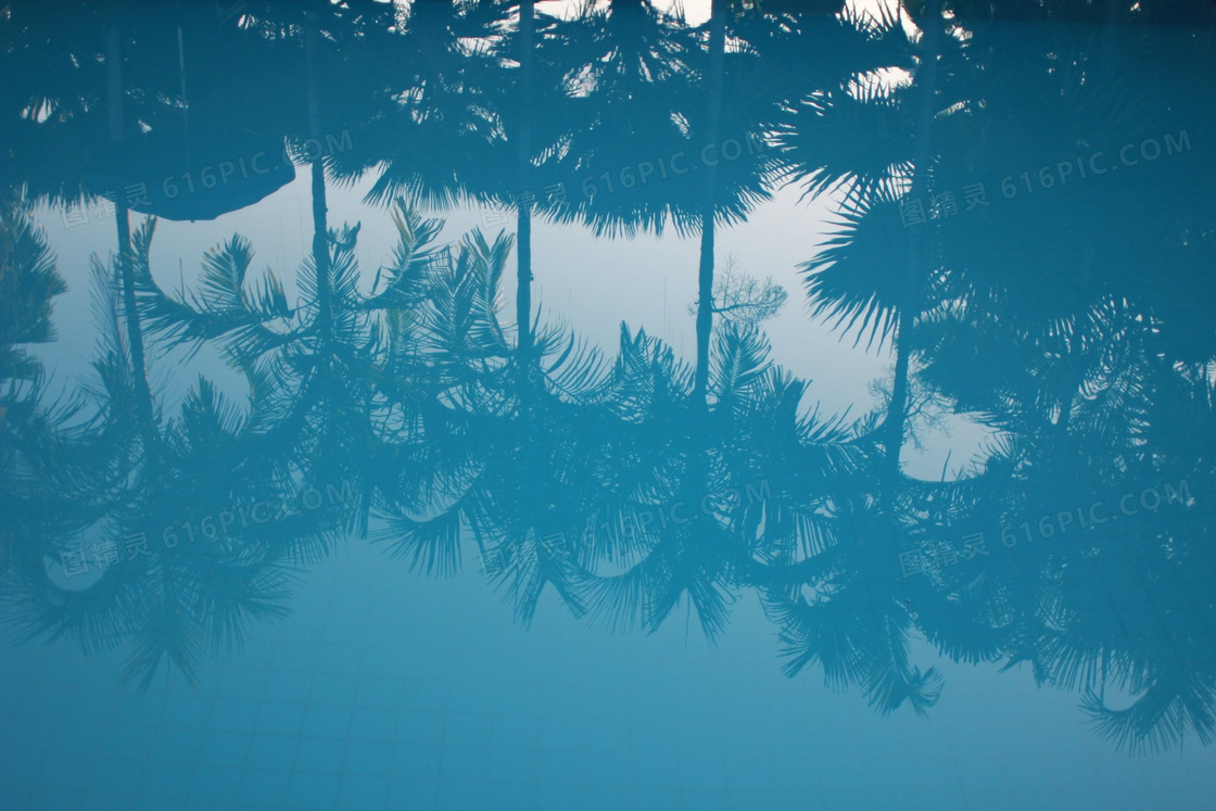 倒影在水面上的椰树林摄影高清图片