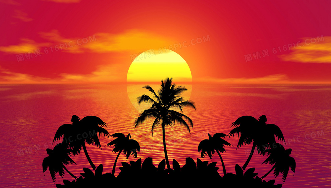 落日下的海边椰树剪影摄影图片