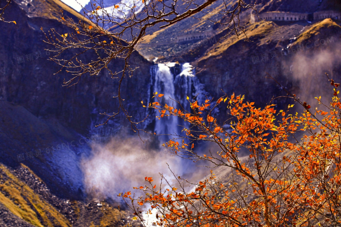 红叶树枝与山间的瀑布摄影高清图片