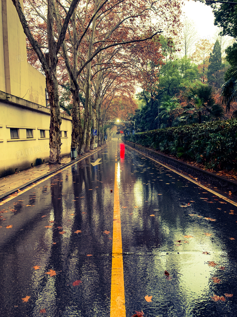 雨后街道唯美图片