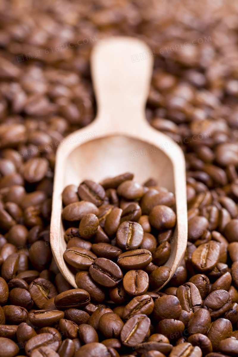 木质勺中的咖啡豆特写摄影高清图片