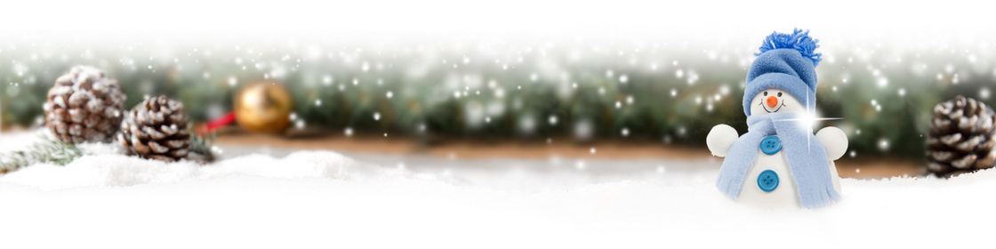 松果与可爱的雪人全景视角创意图片