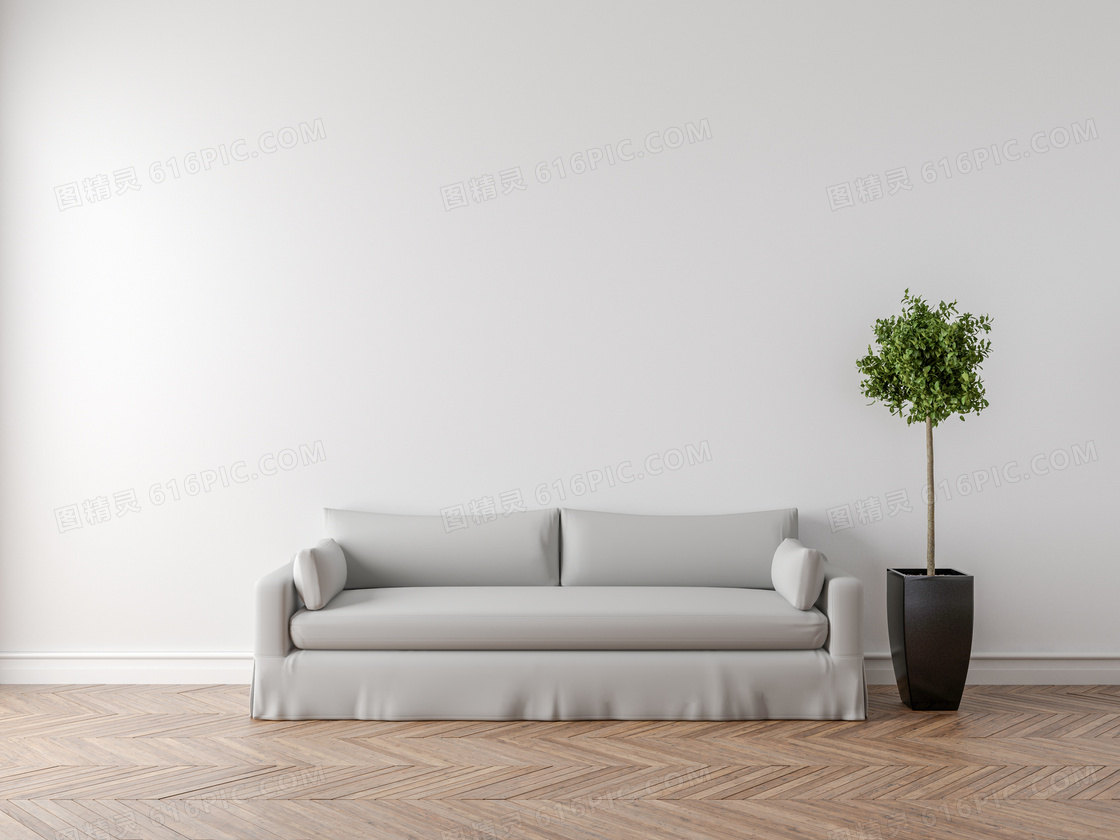 房间里沙发与绿叶植物渲染高清图片