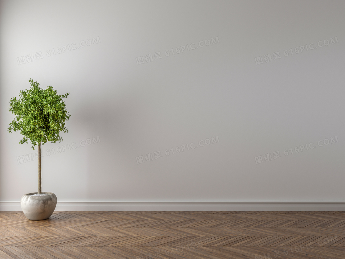 室内一株绿叶植物盆栽渲染高清图片