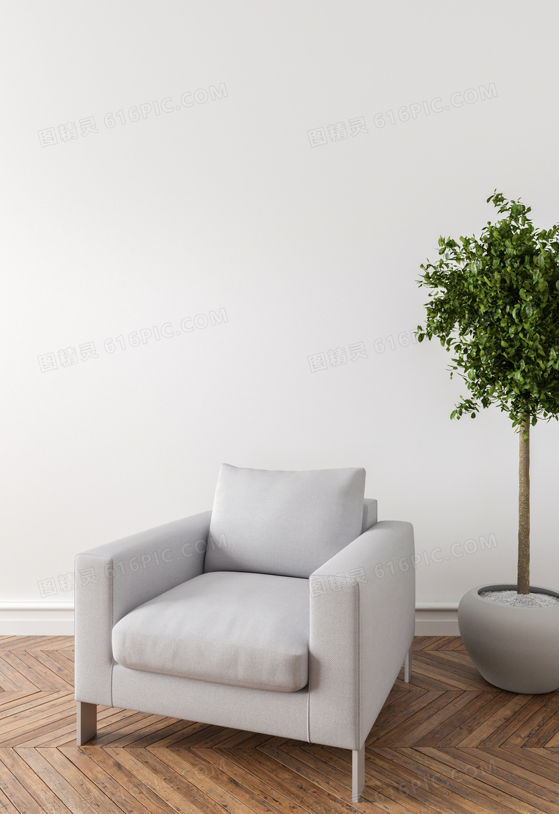 室内绿叶植物与白色的沙发渲染图片