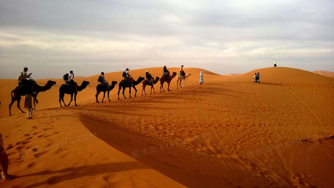 沙漠上的行走的驼队高清摄影图片