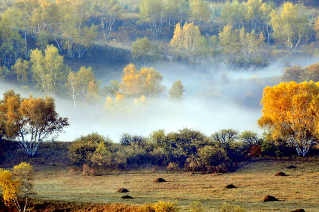 秋季云雾缭绕的山林美景摄影图片