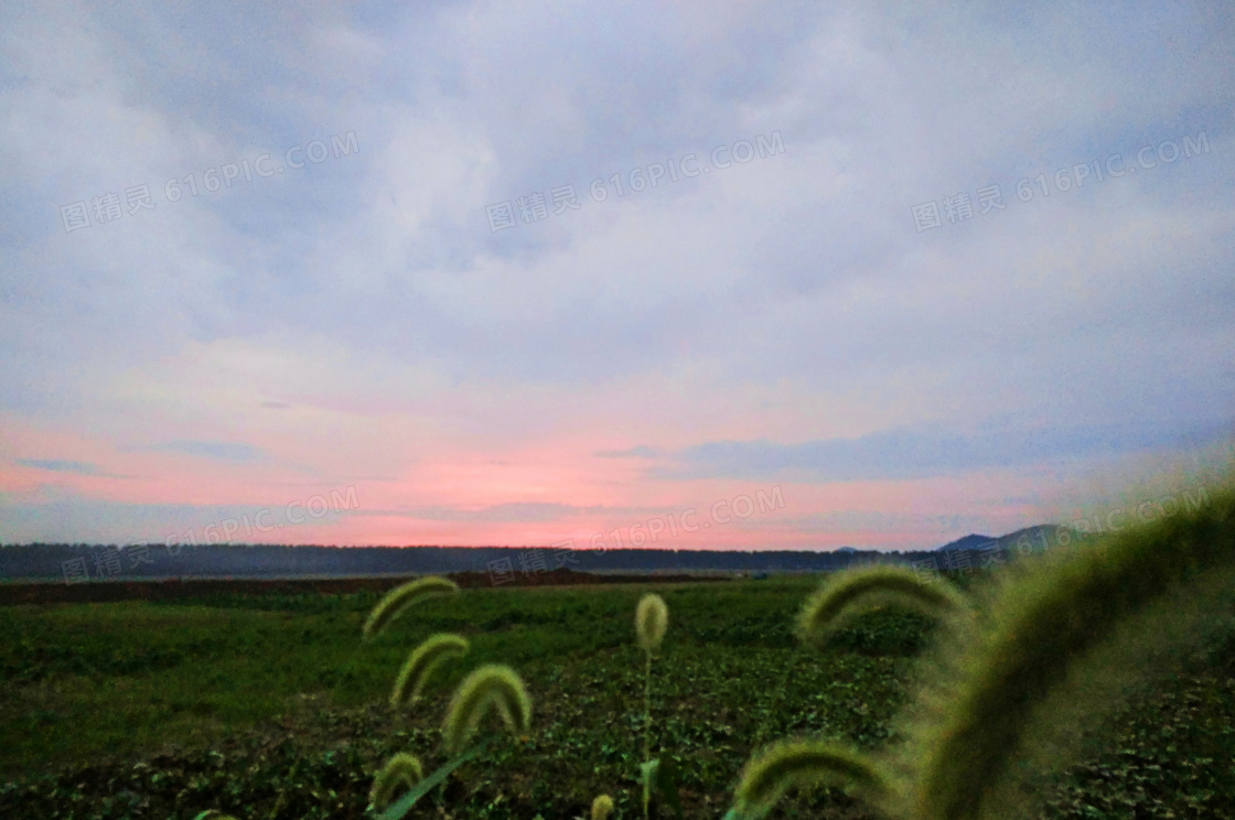 黄昏下的田园风光摄影图片
