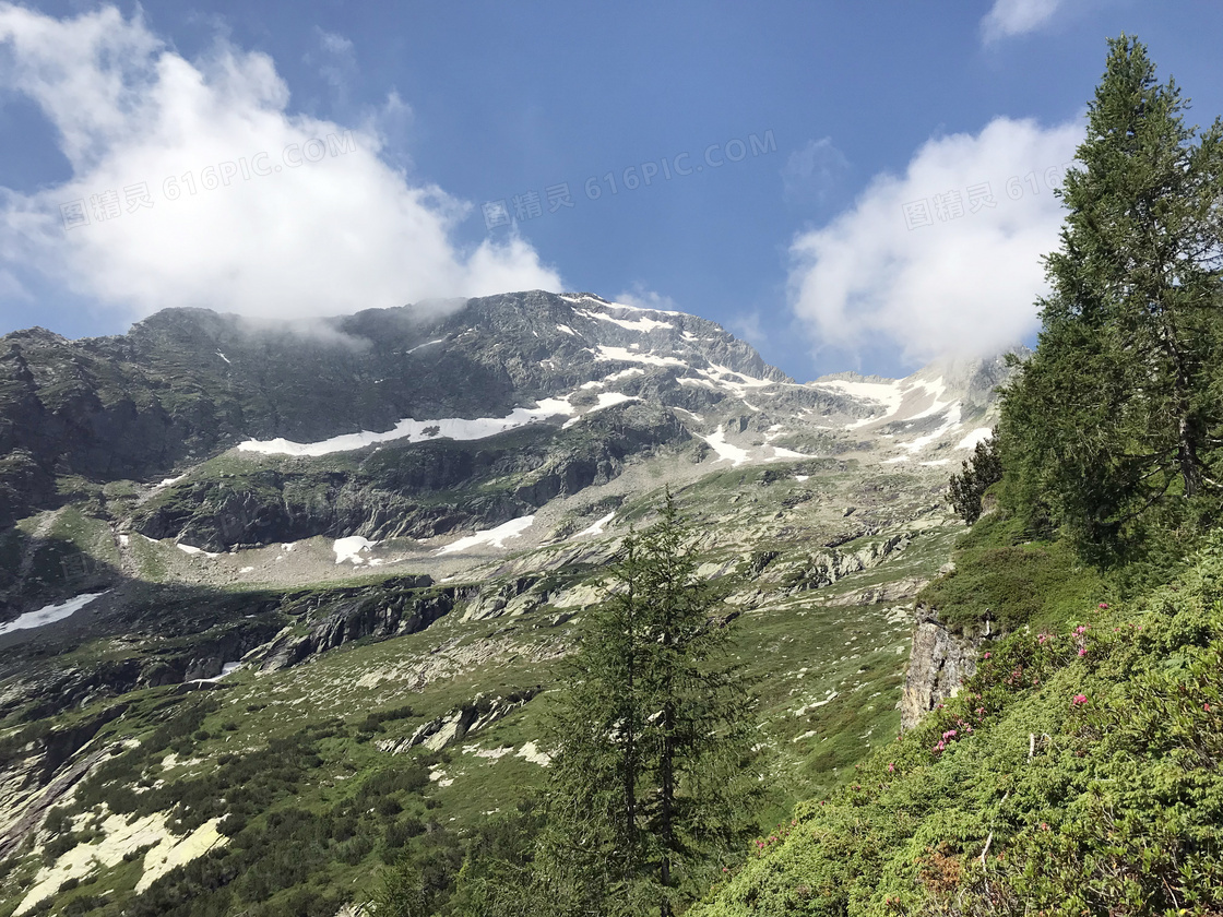 蓝天下的山坡雪景摄影图片