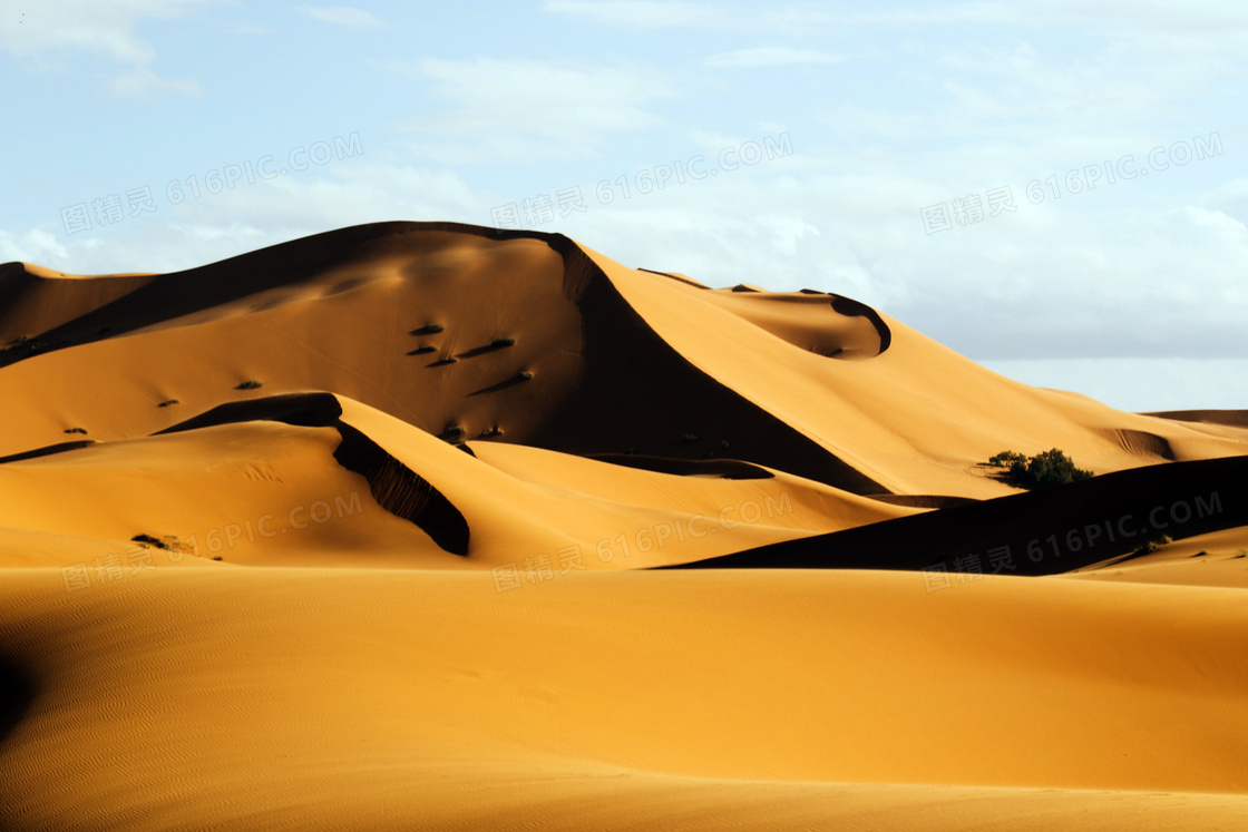 沙漠中的沙丘景观摄影图片