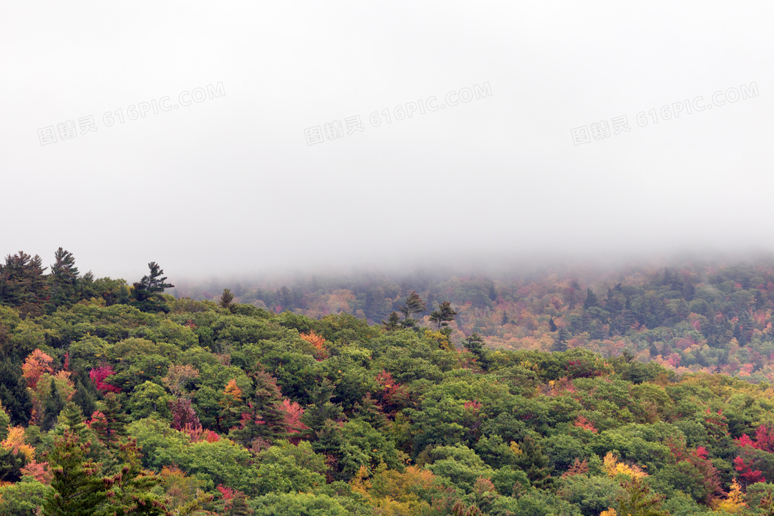 云雾缭绕的山顶风光摄影图片