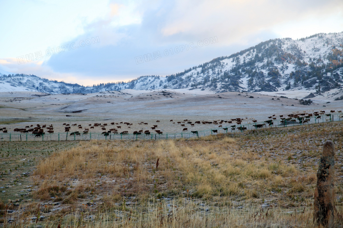 雪后的新疆高原美景摄影图片